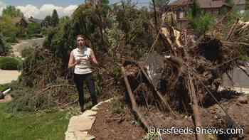 20-year-old dealing with tornado clean-up while his parents are in Europe