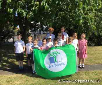 Huntington Primary Academy lands Eco-Schools Green Flag award