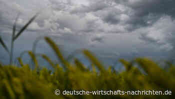Sinkende Einnahmen setzten deutsche Bauern unter Druck