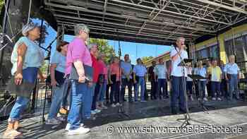 Tag der Stimmen in Nagold: Von der einzigartigen Magie des Singens
