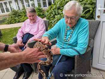 Exotic animals pay visit to Thistle Hill care home in Knaresborough