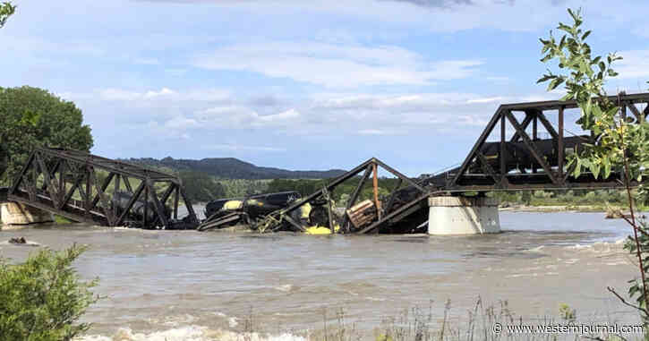 US Bridge Collapses, Sends Freight Train Into the River Below