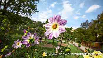 Sommerempfang am 30. Juni: Kühle Drinks und jede Menge Altensteiger Momente