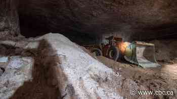 Mining companies betting on autonomous technology to make dangerous jobs safer