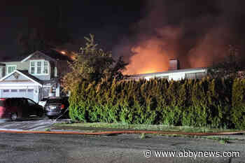 Firefighters revive family dog during large house in Chilliwack