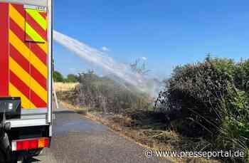 FW Moers: 200 qm Grünfläche brennen im Moerser Norden
