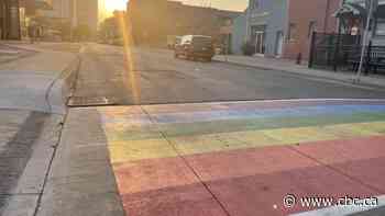 'More to Pride than celebration': Hamilton LGBTQ community calls for greater support