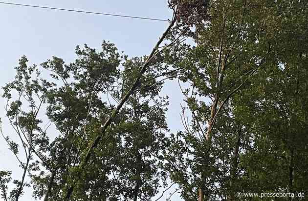 FW Marienheide: Stromausfall in Marienheide: Baum stürzt auf Stromleitung und verursacht Versorgungsunterbrechung