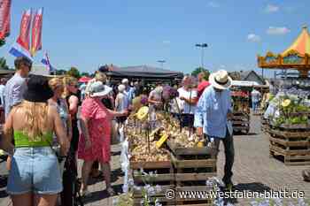 Rödinghausen: 10.000 Besucher beim Hollandmarkt