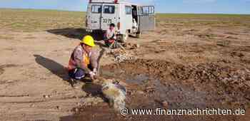 Also doch wellenförmig...: Wochenrückblick KW 25-2023 - Inflation is back!