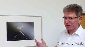 Spannender Blick aufs Detail: Foto-Ausstellung von Wolfgang Ries eröffnet