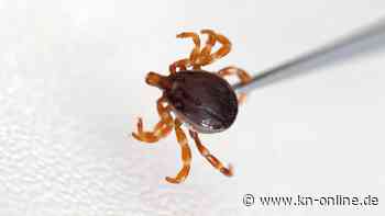 Rennfahrer Douglas Costa stirbt an Zeckenstich