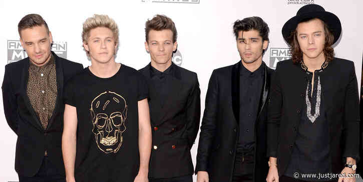 What Every Member of One Direction Has Said About a Reunion (& One Member Perfectly Summed Up Where They Stand on the Matter!)