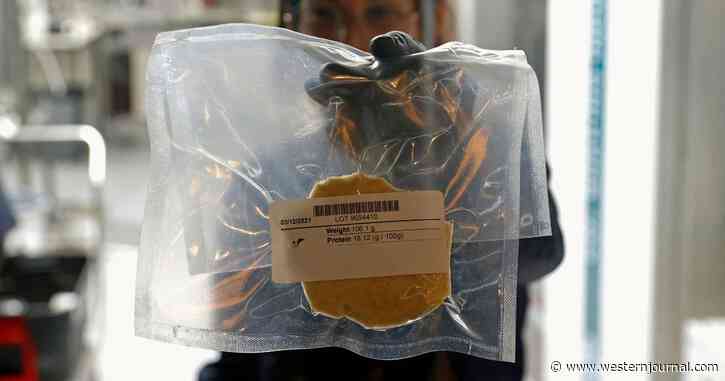 USDA Decides on Bill Gates-Approved Fake Meat - Are These Cancer Tumors or Totally Safe to Eat?