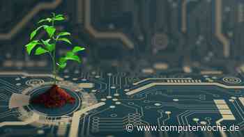 Mehr IT-Wissen, weniger CO2: Wie IT-Skills für Nachhaltigkeit sorgen