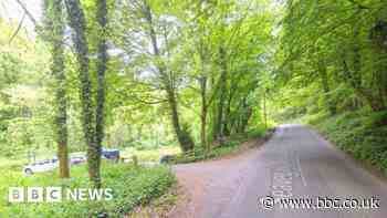 East Ayton: Man, 18, dies in North Yorkshire crash