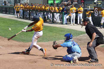 Nanaimo NightOwls win three out of four in homestand