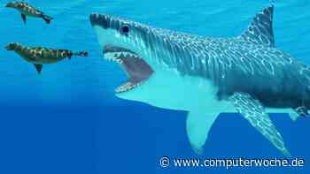 Für fünf Milliarden Dollar: IBM will offenbar Apptio kaufen