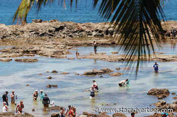 Pupukea study to propose management strategies