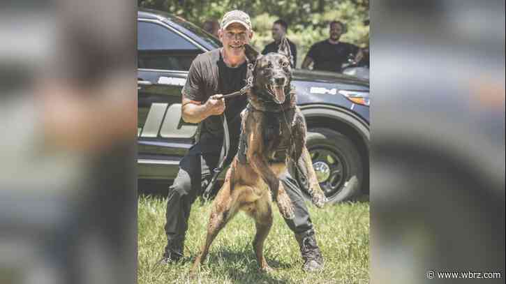 Shreveport police mourn K9 after heat-related death