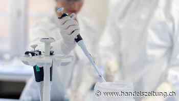 Lonza baut mit US-Firma Vertex Fabrik für Diabetestherapien