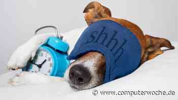 Bitkom-Analyse: Digitaler Tiefschlaf lähmt Deutschland