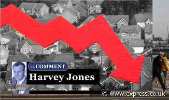 Mortgage crunch is here and house price crash will follow - yet there are signs of hope