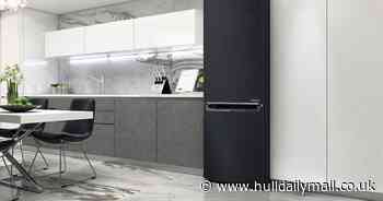 World Refrigeration Day: Fridge and freezer facts you need to know