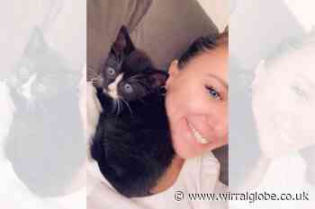 Owner left shocked after body of cat 'disposed of' by Biffa