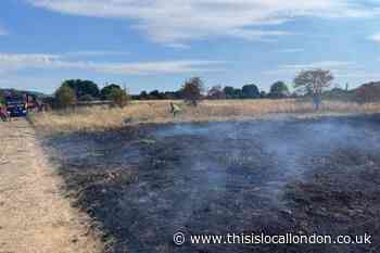 Rainham grass fire sparks London Fire Brigade barbecue warning