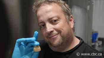 Reports of rising cocoa prices could make chocolate a little less sweet and a little more pricey