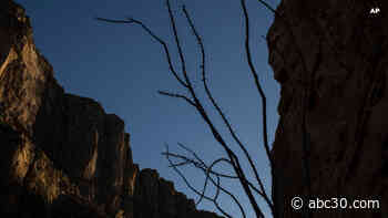 Florida man and 14-year-old stepson die after hiking in extreme heat at Big Bend park in Texas