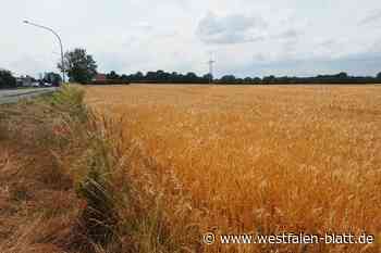 Rahden: nur Fläche für 60 statt 120 Wohneinheiten in Planung