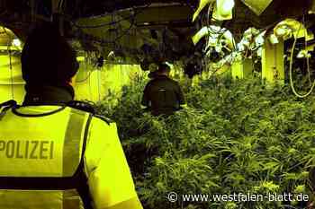 Prozess um riesige Drogenplantage in Lichtenau vor dem Landgericht Paderborn