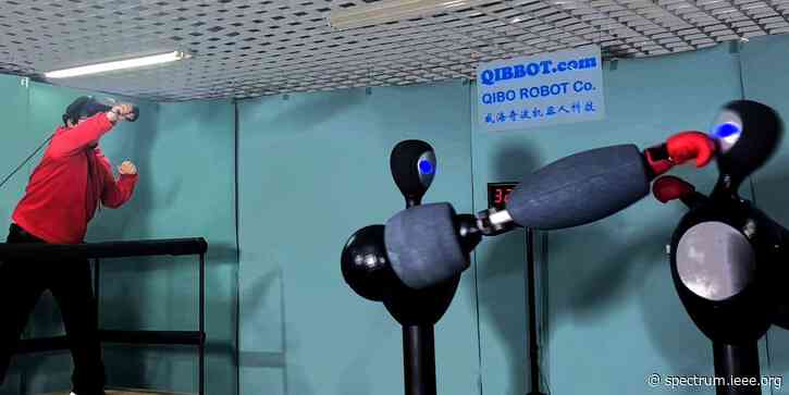 Humans and AI Fight It Out in the Ring, via Robots