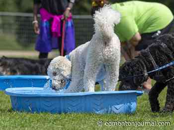 Edmonton weather: Another hot day and a chance of showers