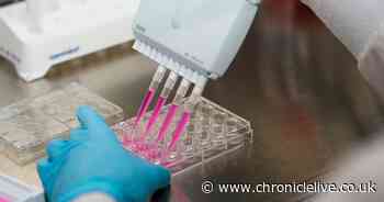 Experts say cancer vaccine that shrinks tumours could used for treatment in five years