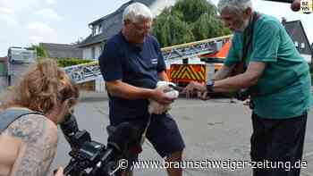 Lehres Storche gehen auf Sendung