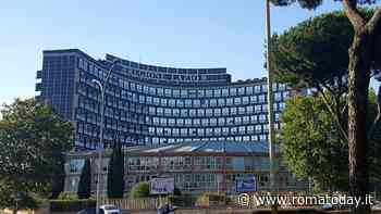 Psicologo a scuola, Rocca aumenta il fondo per gli sportelli. E il Comune potrebbe assumere nuovi professionisti