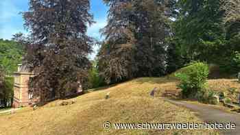 Stadtgarten Calw: Im September geht es richtig los