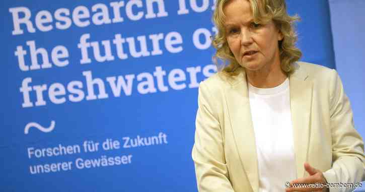 Nach Oder-Katastrophe fehlen mehr als die Hälfte der Fische