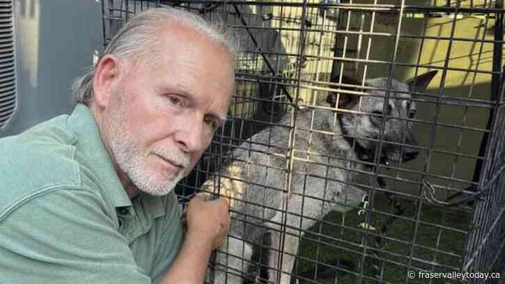 Missing dog Rosie located Sunday in Chilliwack