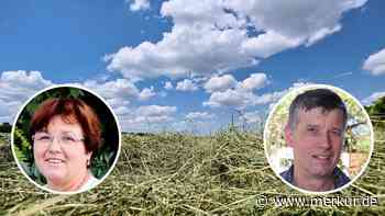 „Kräht der Gockel auf dem Mist“: Bauernregeln zum Hitzesommer im Realitätscheck