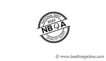 Reports detailing 2022 National Beef Quality Audit Results now available