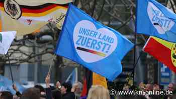 AfD: Soziologe Heitmeyer sieht Potenzial im Westen unausgeschöpft