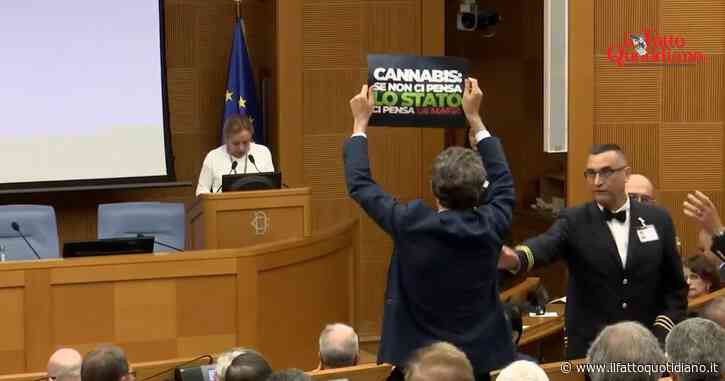 Magi contesta Meloni al convegno sulle droghe e la interrompe mostrando un cartello antiproibizionista: “Luoghi comuni e fake news”