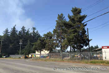 Pair of suspicious wildfires burning in Port Alberni