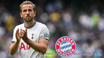Medien: Bayern München legt sich auf Kane fest