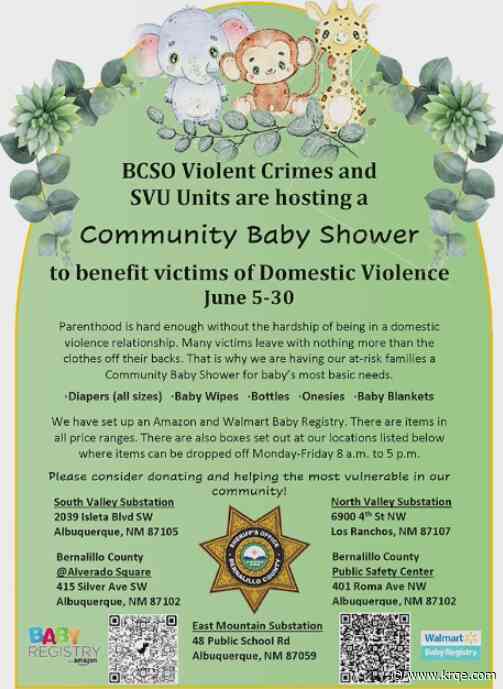BCSO hosting Community Baby Shower to benefit victims of domestic violence