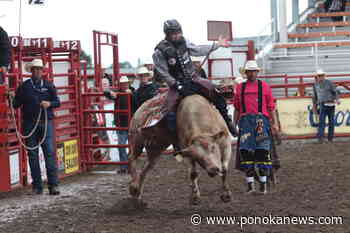 Ponoka Stampede launches big changes to its bull riding competition this year